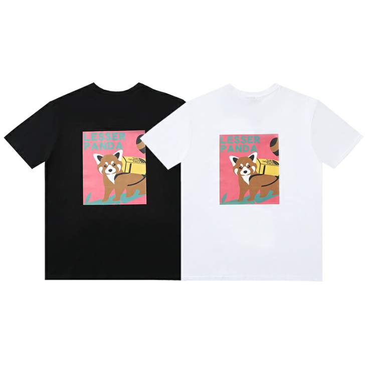 Picture of The North Face T Shirts Short _SKUTheNorthFaceM-3XL6ctfT602765961